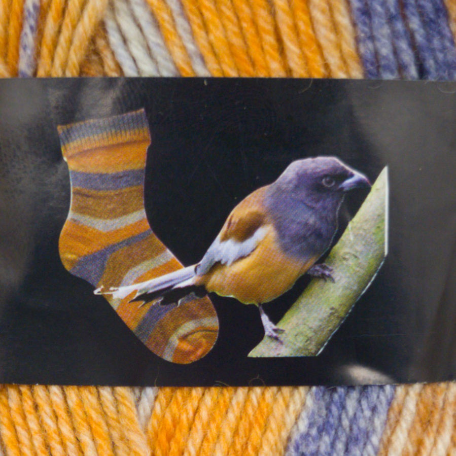 Self Patterning Sock Yarn, Opal Planet for Bergere de France, 100g